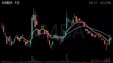 AMBA daily chart