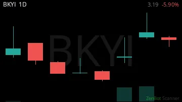 BKYI daily chart