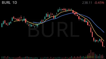 BURL daily chart
