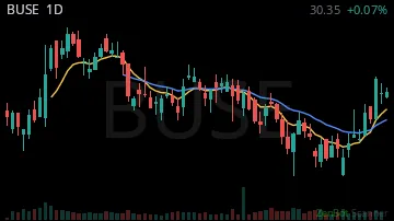 BUSE daily chart