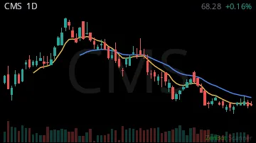 CMS daily chart