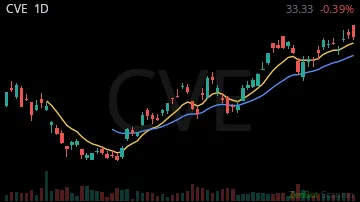 CVE daily chart