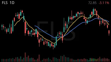 FLS daily chart