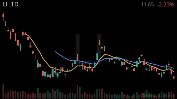 LI daily chart