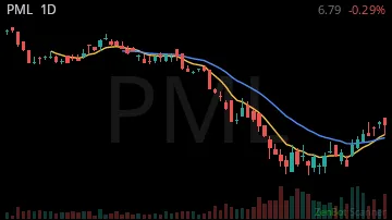 PML daily chart