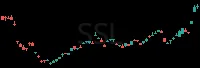 SSL daily chart