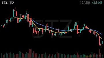 STZ daily chart