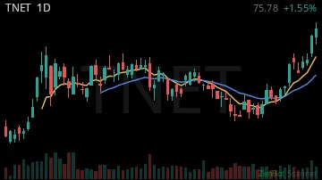 TNET daily chart