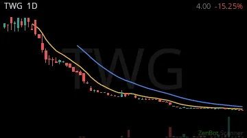 TWG daily chart