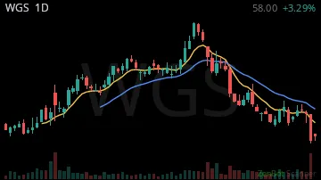 WGS daily chart