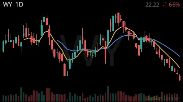 WY daily chart